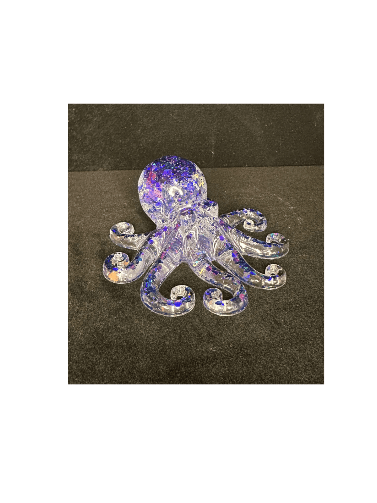 Sea Creatures